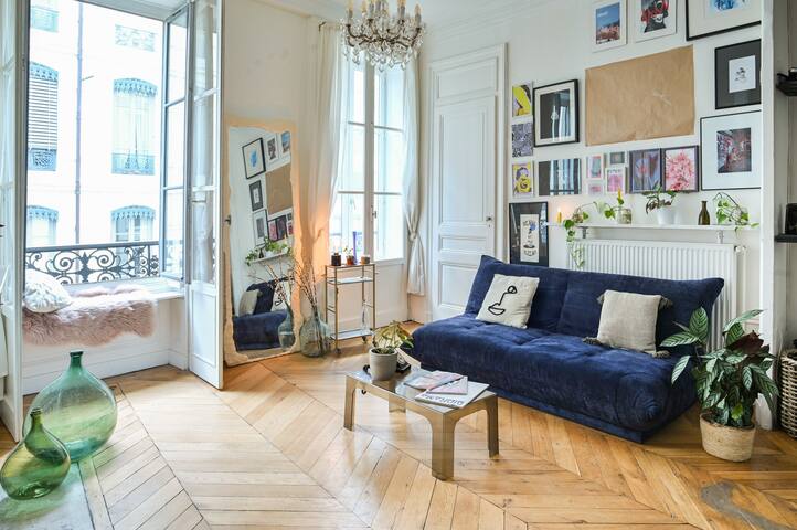 Vieux Lyon : grand appartement artiste
