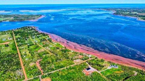 3 Bedroom Cottage Near PEI National Park!
