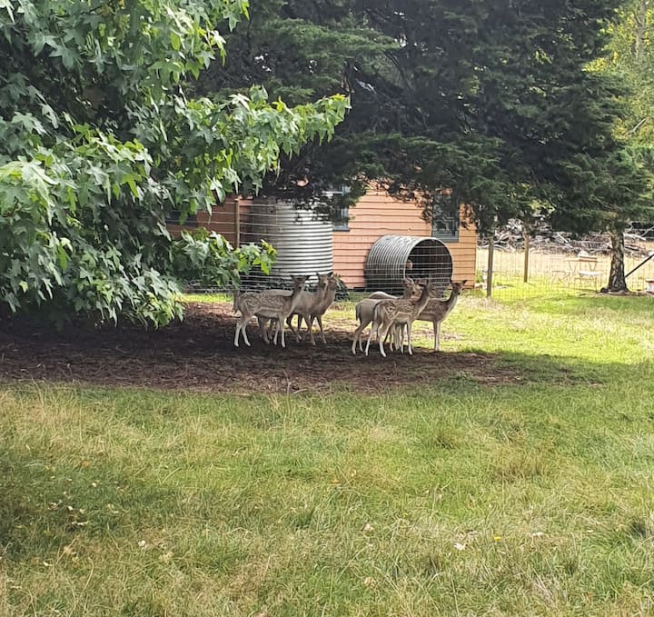 Oberon Holiday Rentals & Homes New South Wales, Australia Airbnb