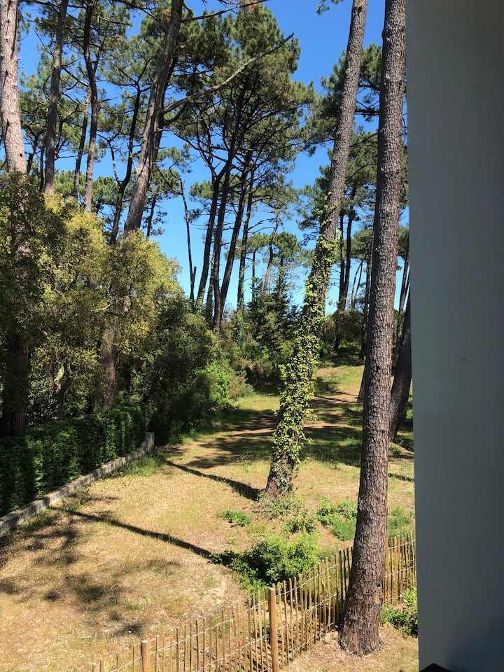 Vista de las habitaciones