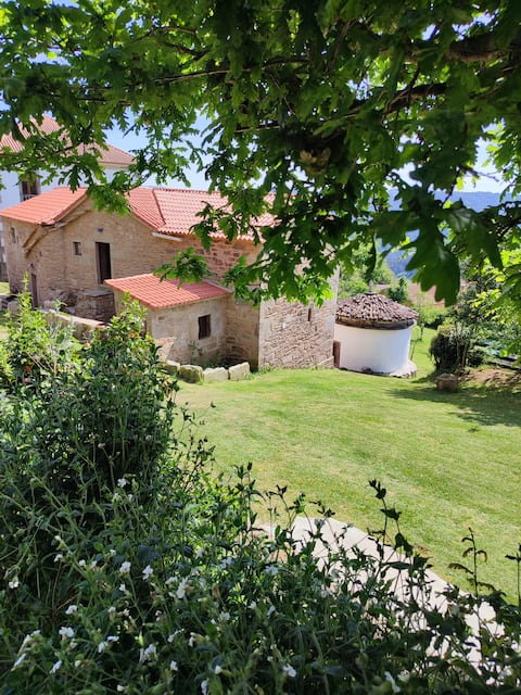 Gorgeous Restored Centenary Home