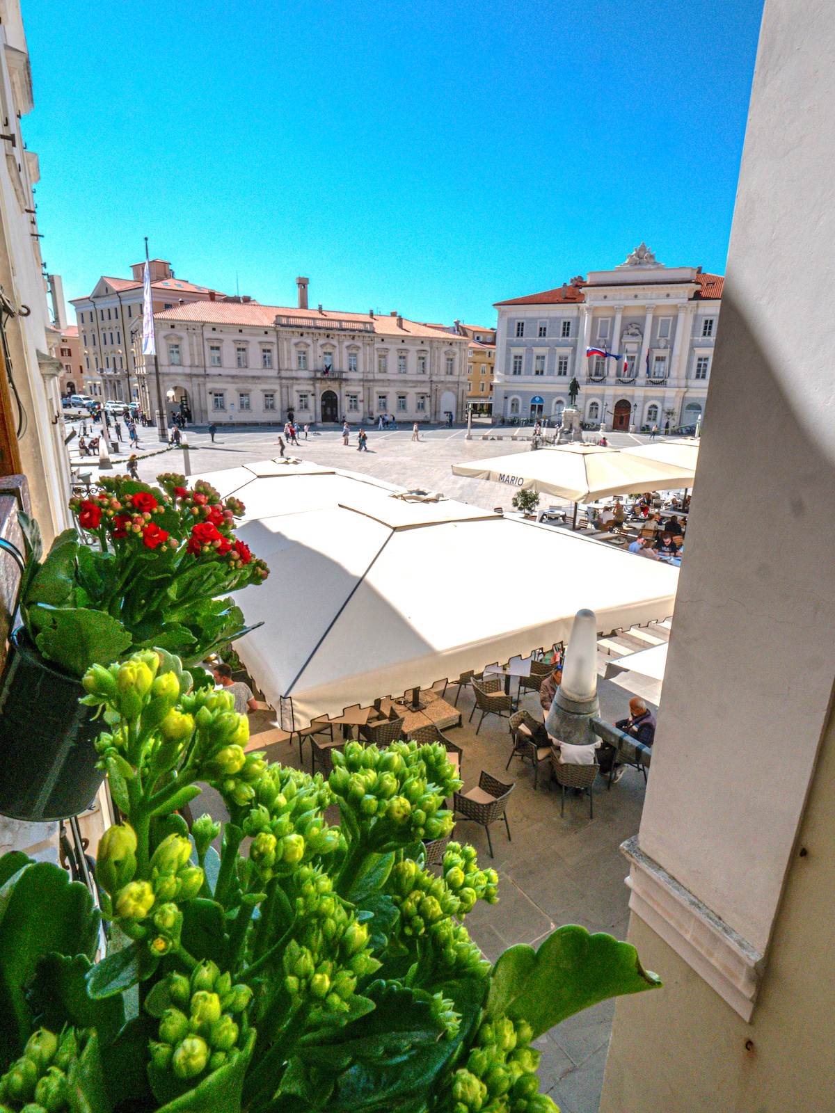 A view from a window presents a lively scene of Tartini Square, bustling with activity. Flowering plants adorn the ledge, and outdoor seating is visible under cream-colored umbrellas. Historic buildings frame the square, contrasting with the clear blue sky above.
