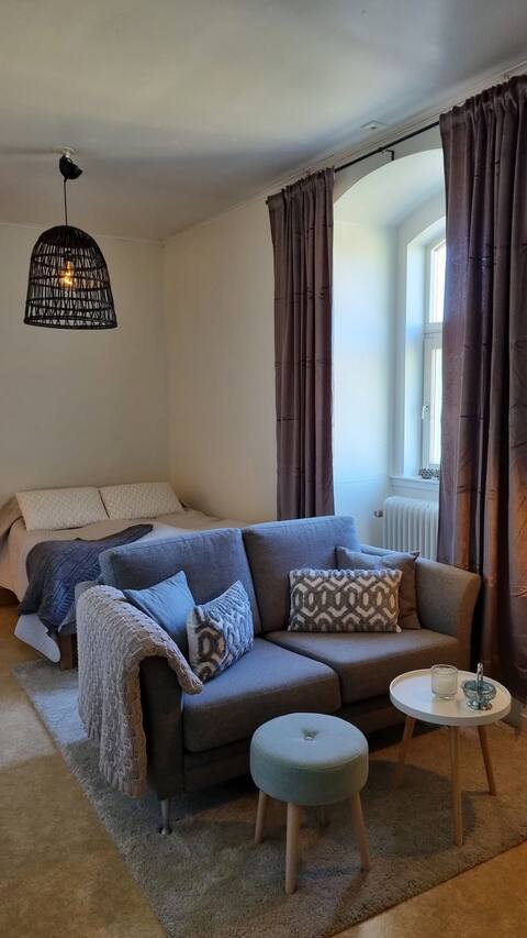 Nice studio apartment in a central location.