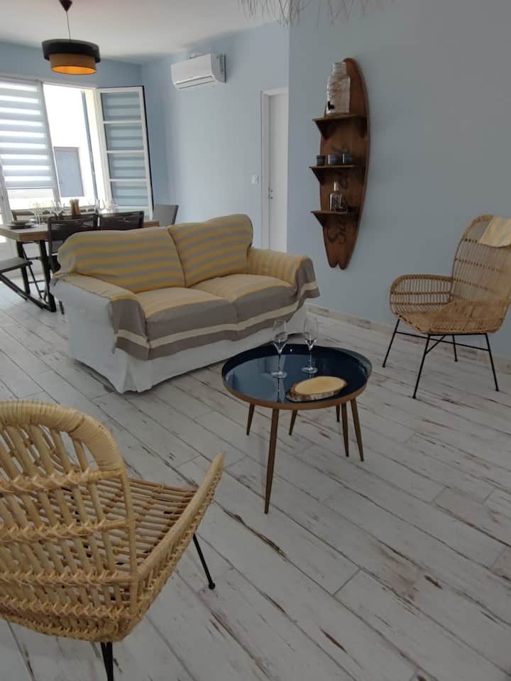 Les Agapanthes Maison Classée 3* Bisca Plage 4 Pax - Landes