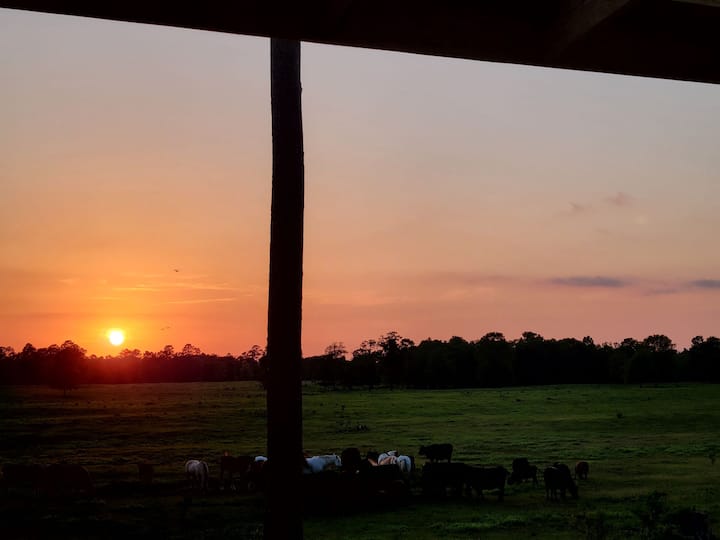 Naturalist Boudoir Lake House, Tiny House On Water Tiny houses for