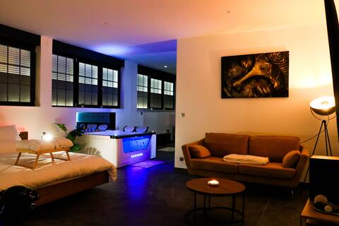 Lovely loft with balneo and sauna