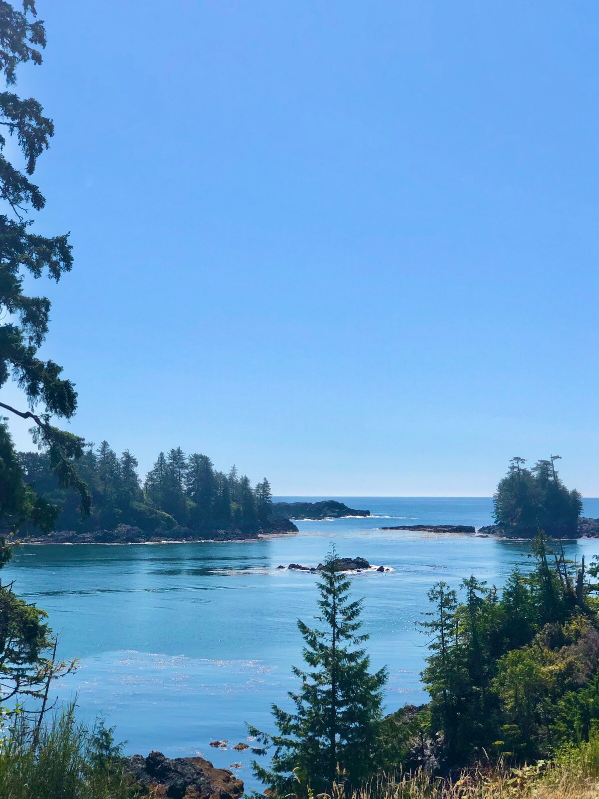 A serene coastal scene is presented, featuring calm blue waters surrounded by lush greenery and dense trees. The distant shoreline is visible, leading into the horizon, under a clear blue sky. The tranquility of nature is highlighted in this picturesque setting.