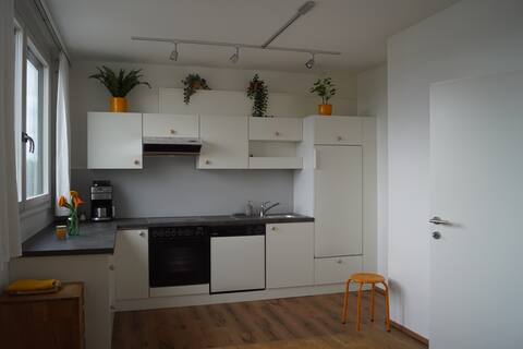 FOCUS: Quiet apartment near the center