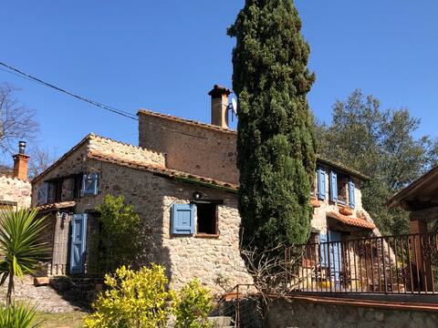 More catalan