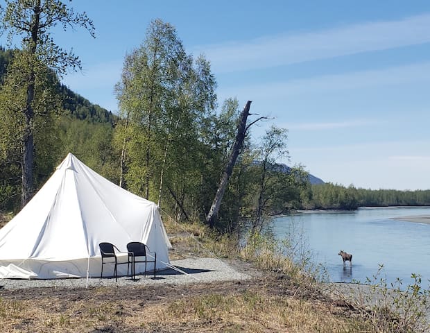 Lulu’s Tents and Events and Say Yes Alaska. managed Airbnb listing 3