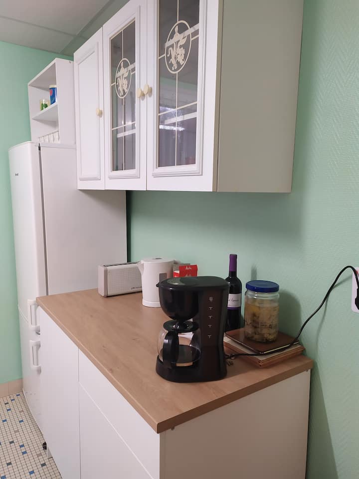 A4-grand Appartement Au Calme (Offre Curistes) - La Roche-Posay