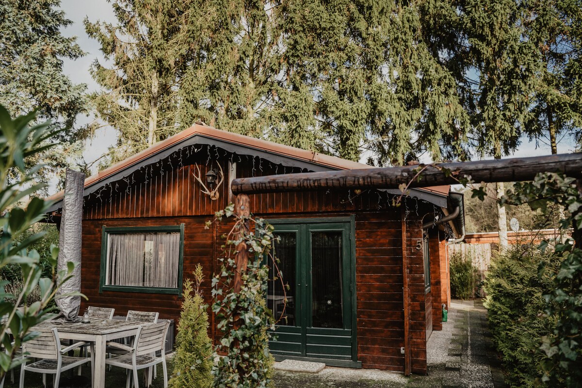 A wooden cottage is framed by lush greenery and tall trees. Outdoor dining furniture is visible on the stone pathway in front of the cottage, which features large windows that invite natural light. The exterior is adorned with subtle decorations enhancing the rustic charm.