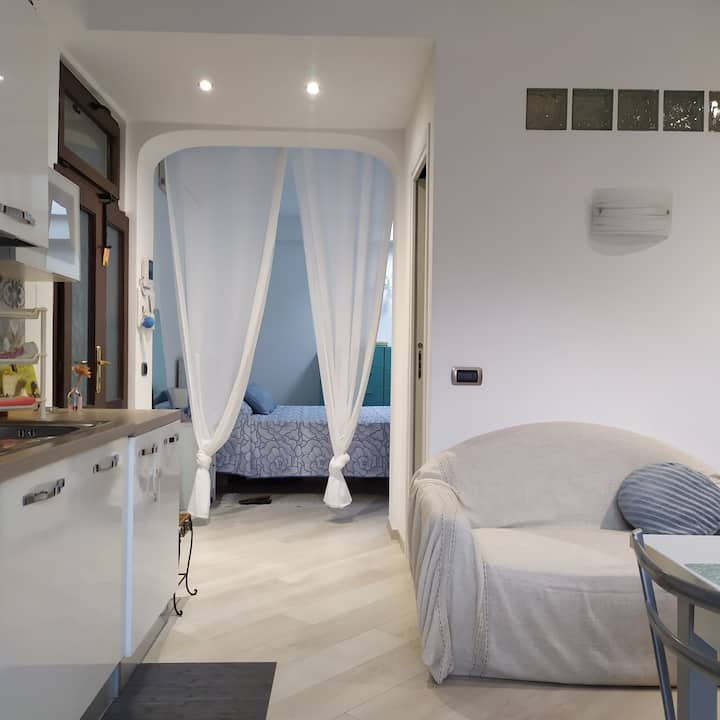Detached House With Patio And Terrace - Metro A - Roma
