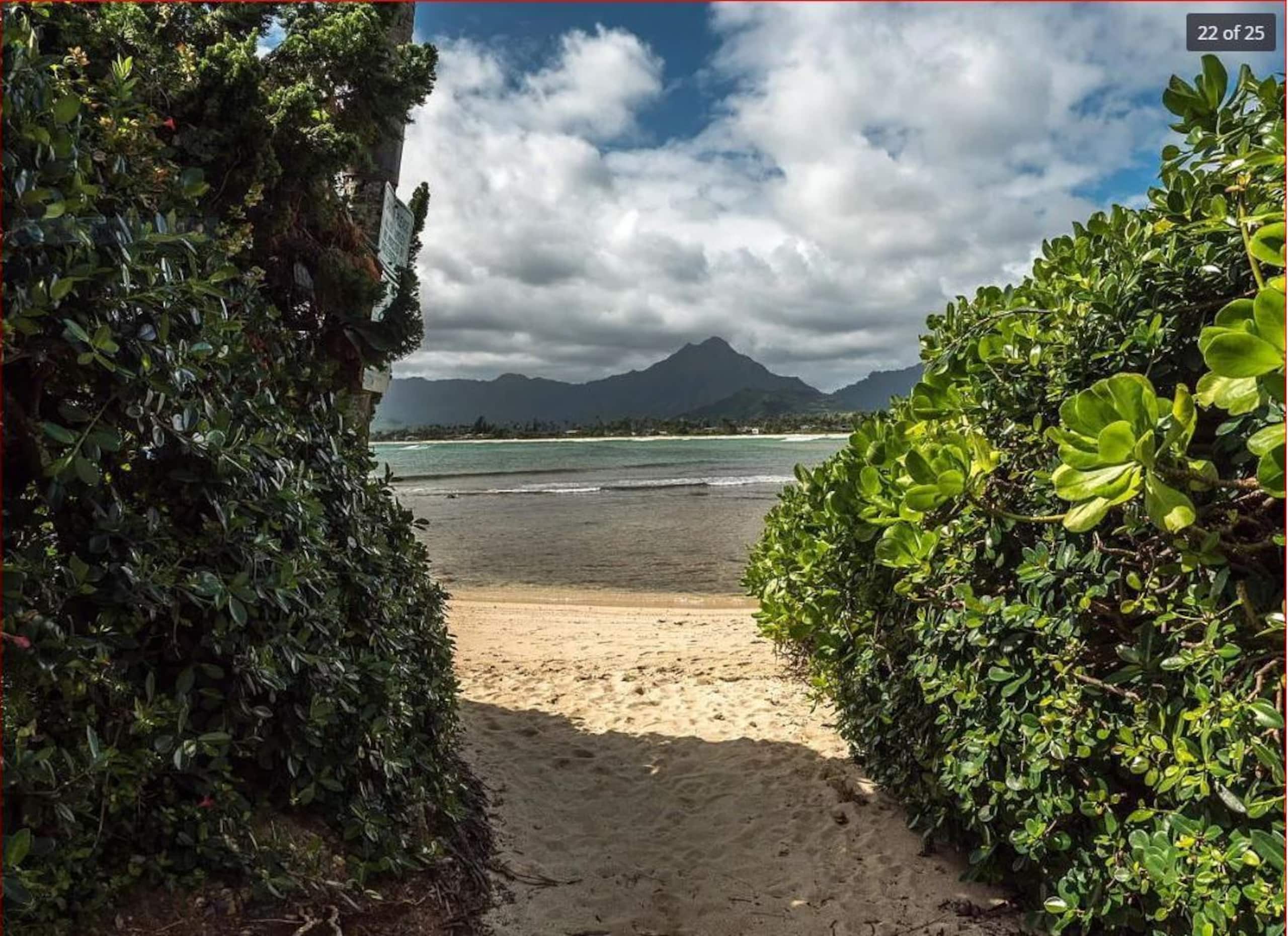 Guesthouse in Kailua · ★4.8 · 1 bedroom · 1 bed · 1 private bath - Image 17