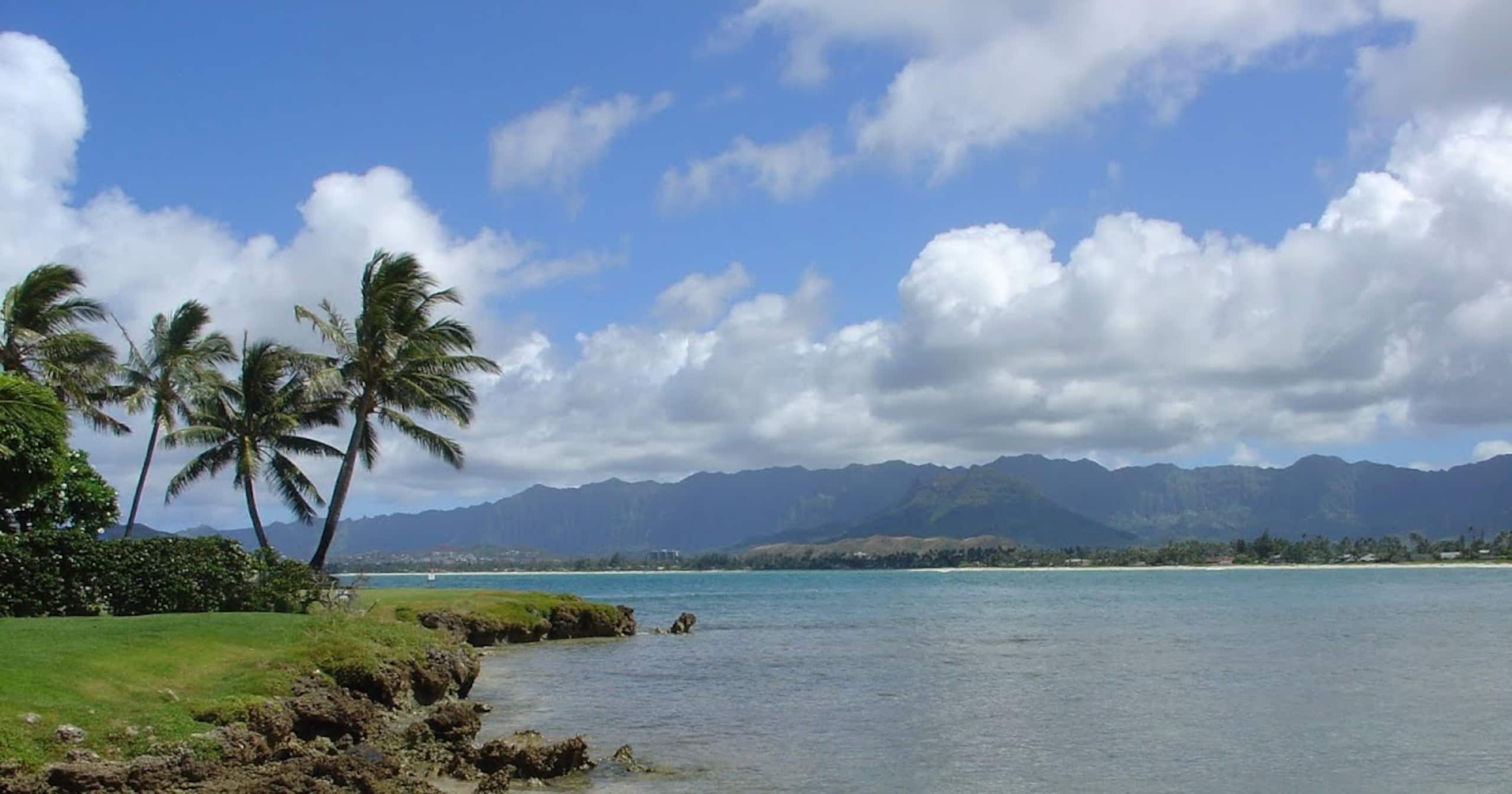 Guesthouse in Kailua · ★4.8 · 1 bedroom · 1 bed · 1 private bath - Image 18