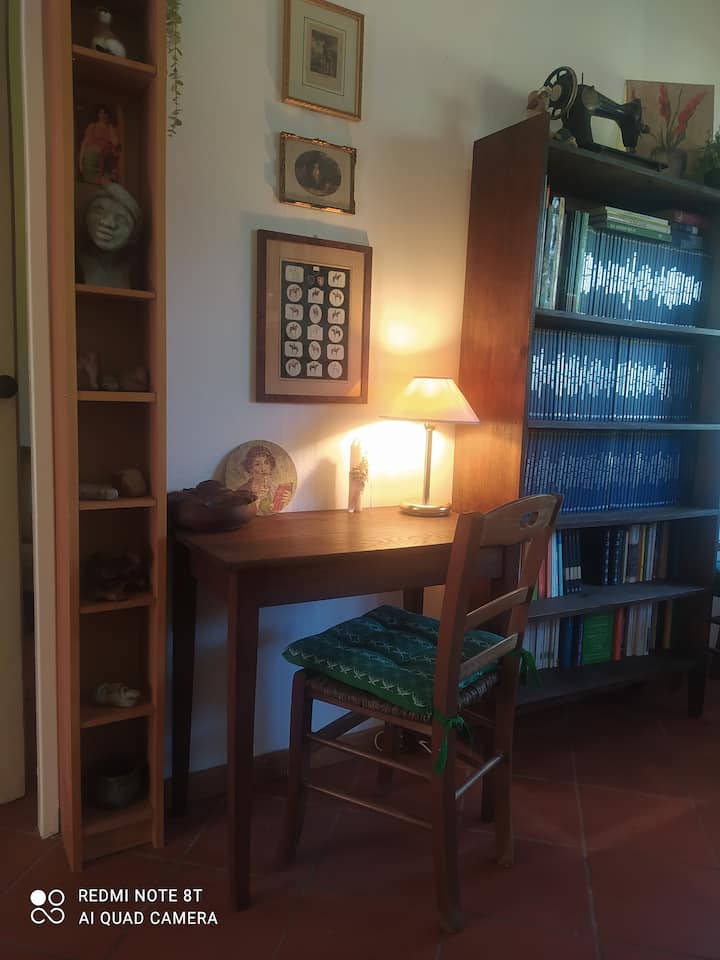 La Casina Del Noce - Pietrasanta