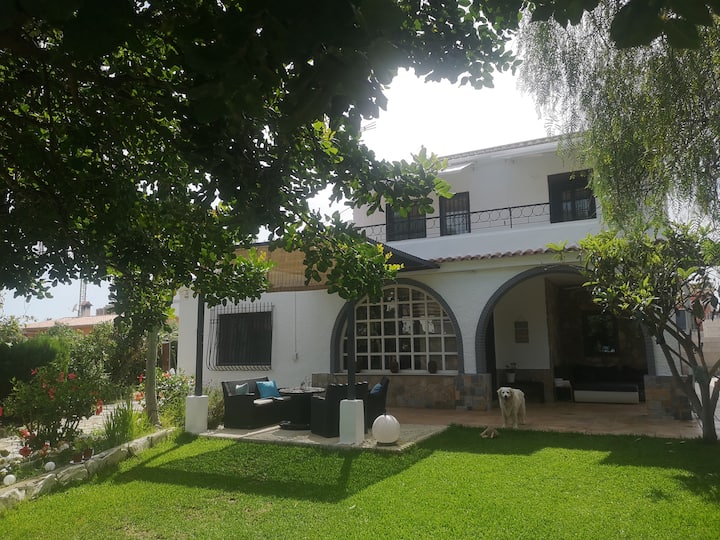 Chalet Con Piscina En Playa Muchavista/campello - Alicante