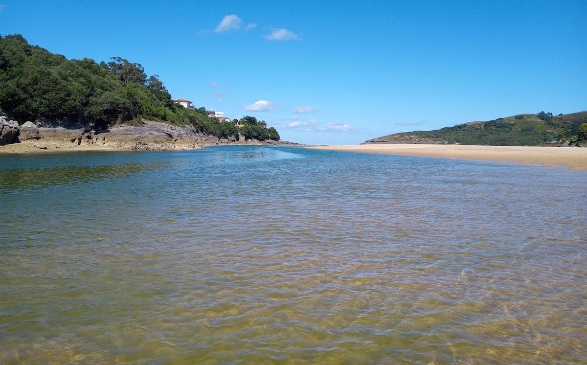 A serene beach landscape is depicted, with gentle waters flowing towards the horizon. Lush greenery lines the shore, contrasting with sandy expanses. The sky is bright blue, complemented by scattered clouds, creating a tranquil atmosphere that invites relaxation and exploration of the natural surroundings.