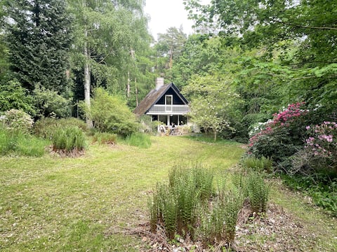 Lovely cottage on forest plot 400 meters from the beach