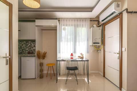 Centrally located, luxury newly furnished apartment