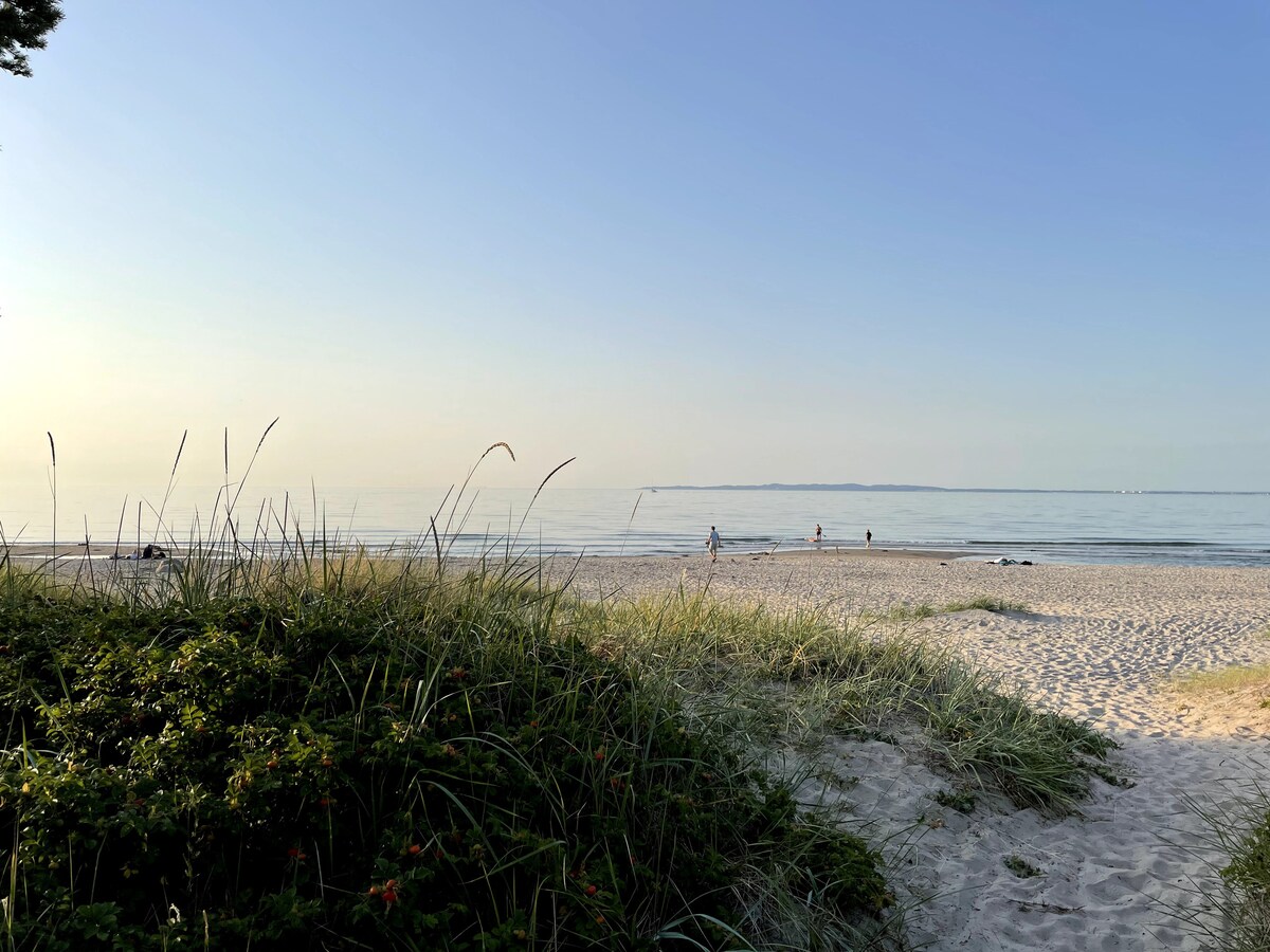 A serene beach scene is captured, featuring soft sand and gentle waves lapping at the shore. Green grass and low shrubs lead to the water's edge, where a few figures can be seen enjoying the tranquil surroundings under a clear blue sky.