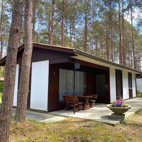 Top Airbnb: Bungalow in the pine forest directly on the Baltic Sea (a) in Karlshagen