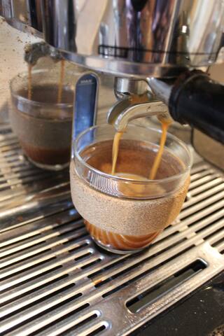 Family oasis gallery image 4