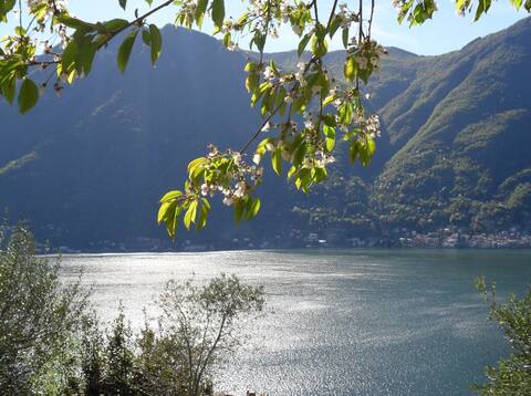 House with beautiful lake view 