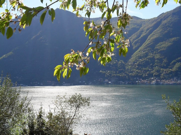 Casa Con Splendida Vista Lago "Il Gallicantus" - Lago de Como