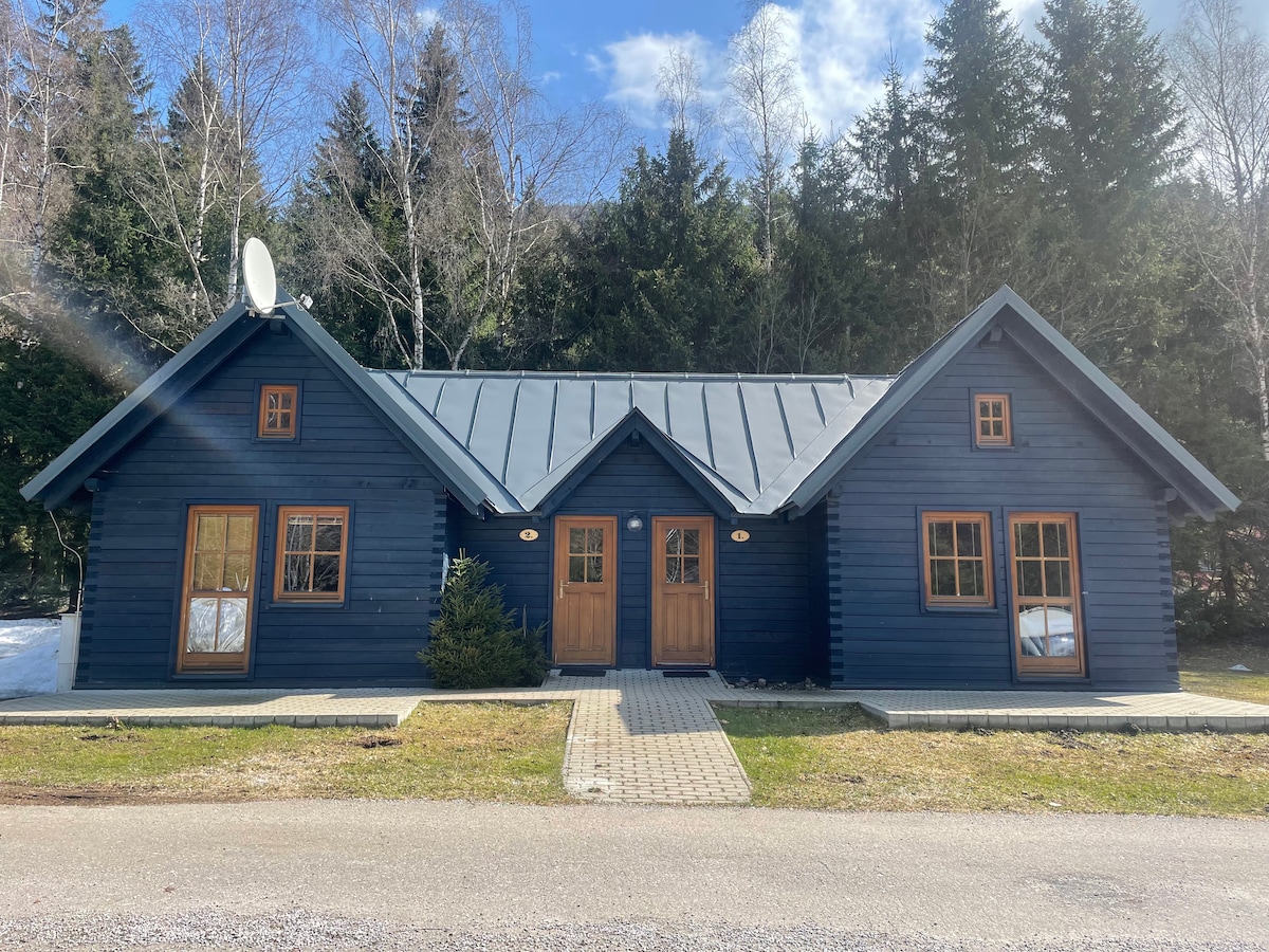 A charming blue wooden cabin is depicted, featuring a gabled roof and two sets of double doors. The front is complemented by multiple windows framed in natural wood. The outdoor area includes a stone pathway leading to a grassy lawn, bordered by trees.