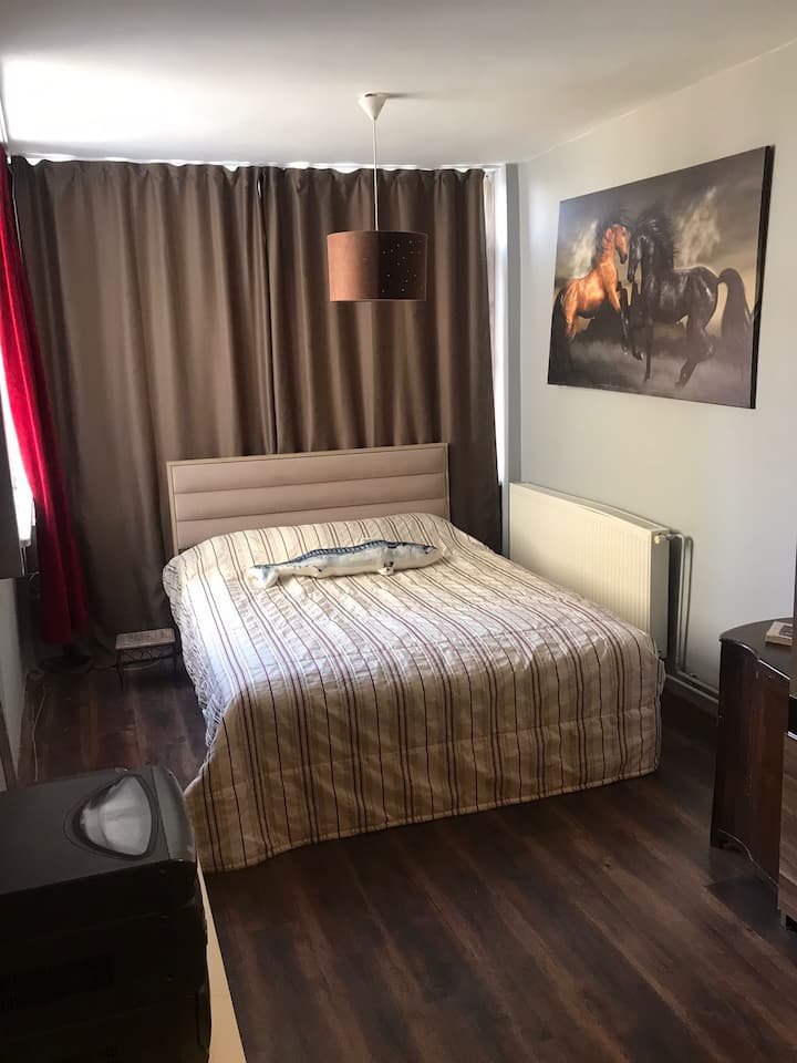 Comfortable Room Close To Bosphorus (Istanbul) - Istanbul