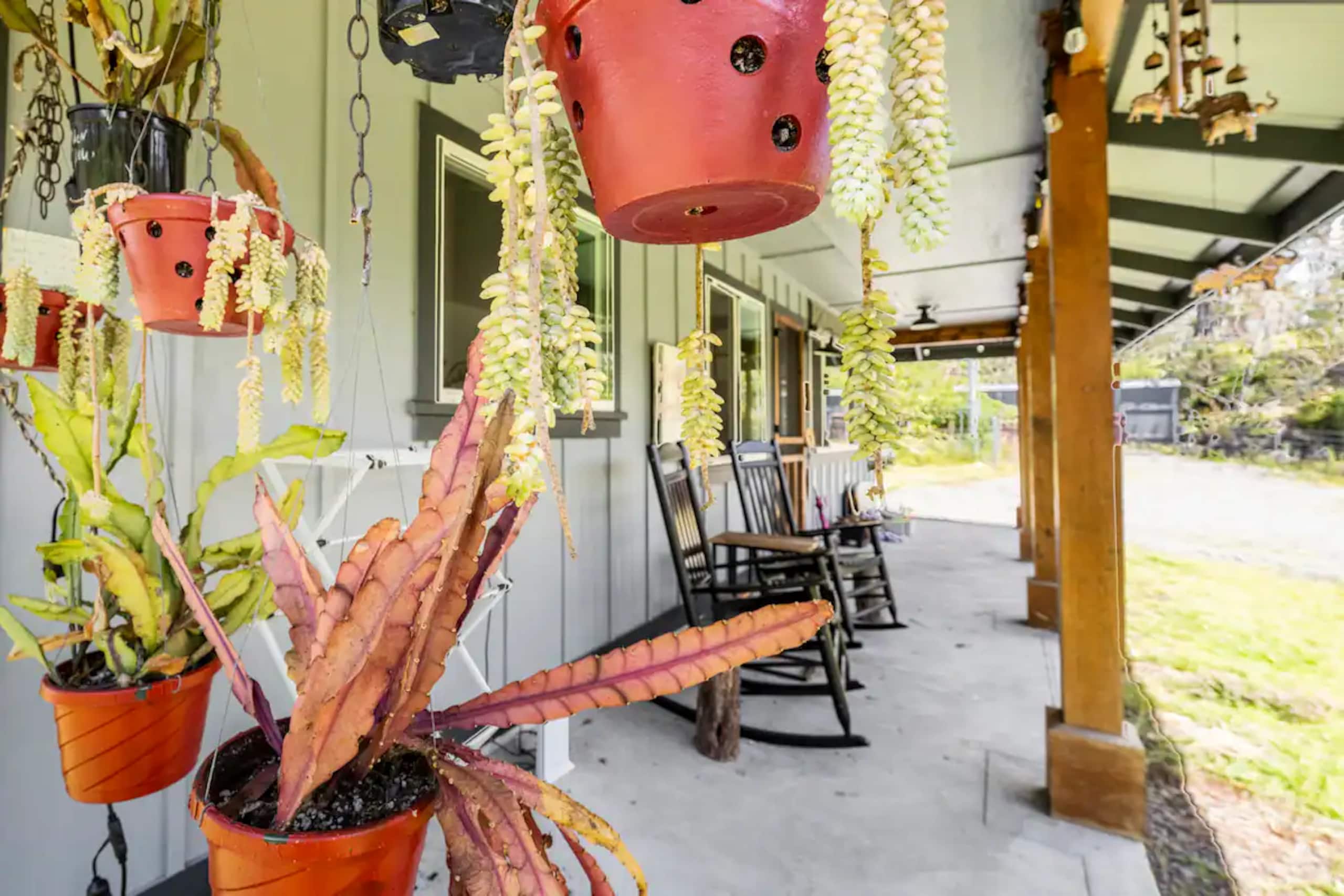 Home in Volcano · ★4.95 · 1 bedroom · 1 bed · 2 private baths - Image 20
