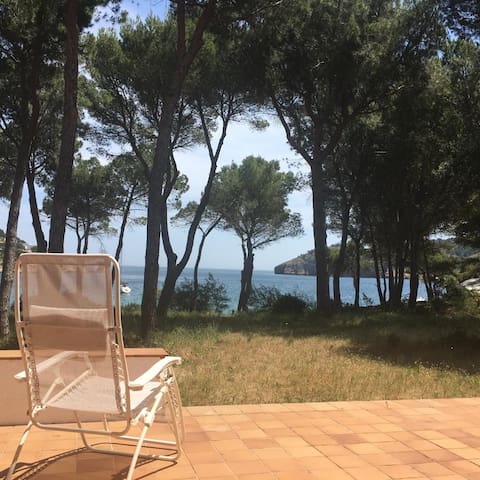 Villa rodeada de árboles con acceso directo playa