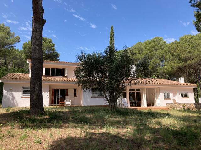 Villa rodeada de árboles con acceso directo playa gallery image 2