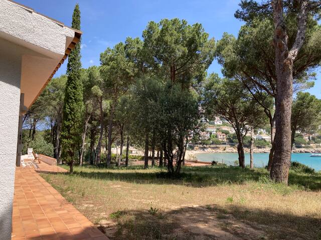 Villa rodeada de árboles con acceso directo playa gallery image 5