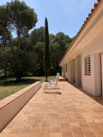 Villa rodeada de árboles con acceso directo playa gallery image 3