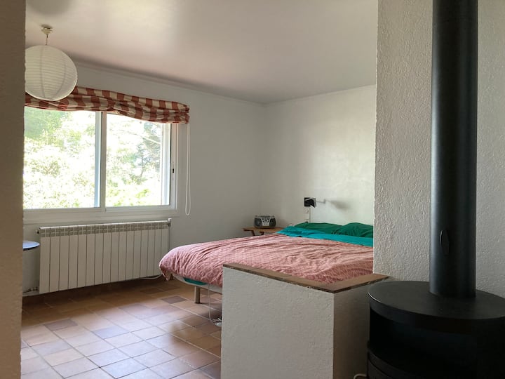 Habitación 1