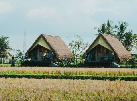 Cabin Benih - beautiful ricefield view!