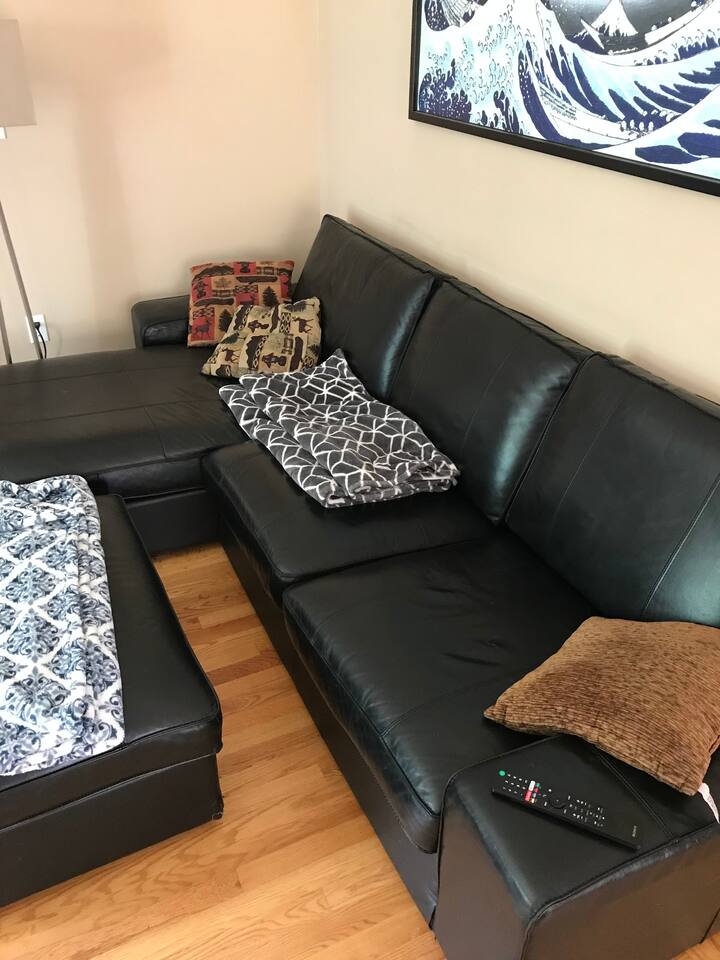 Living room couch with attached chaise can double as a bed. Bedding included.