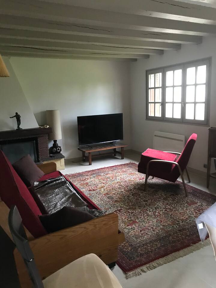Maison Chaleureuse Au Bord De L’yonne - Sens