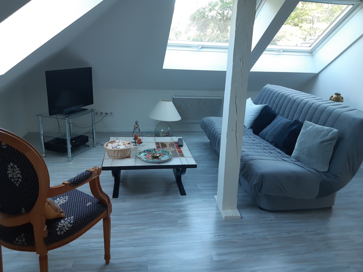 A bright attic living space features a gray sofa bed, a coffee table with decorative items, and a vintage chair. A television is positioned on an adjacent stand. Natural light enters through a skylight, creating an airy atmosphere in the room.