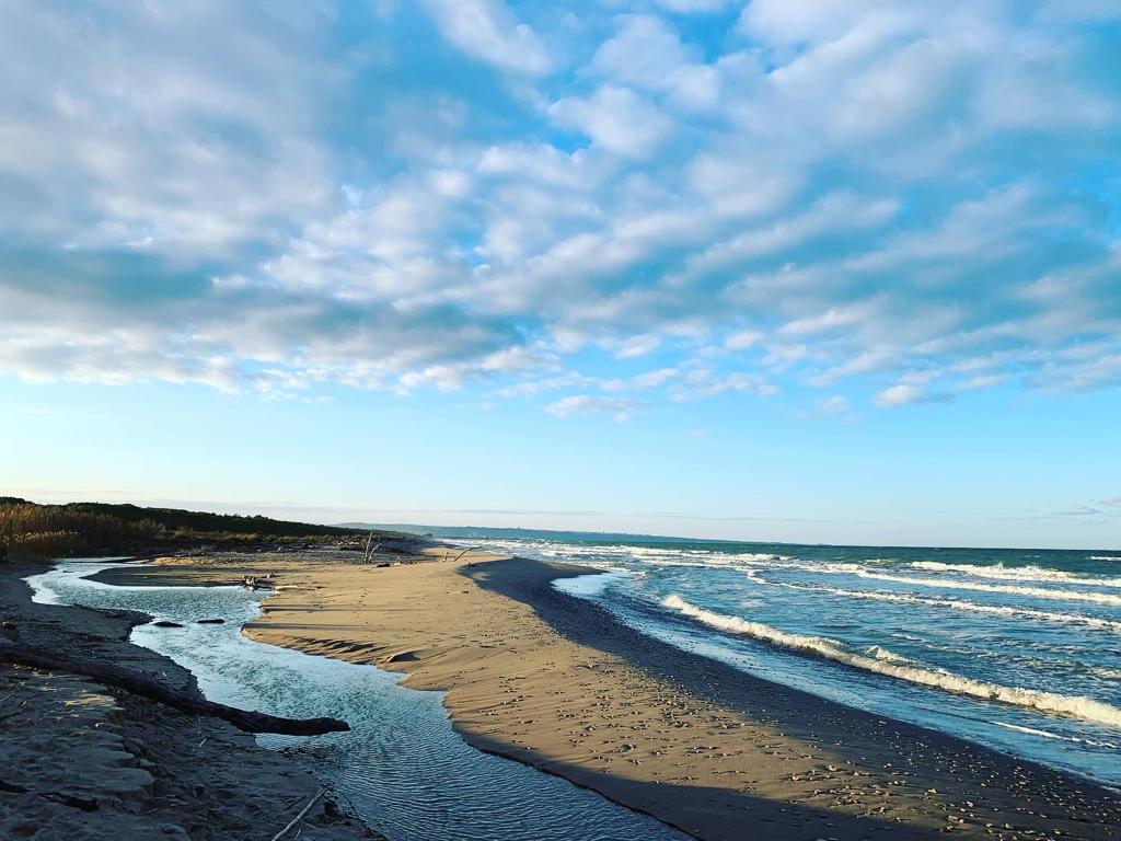A serene beach landscape is depicted, featuring gentle waves lapping against the sandy shore. The sky is filled with soft clouds, reflecting shades of blue. A winding stream of water leads toward the ocean, creating a peaceful coastal scene.