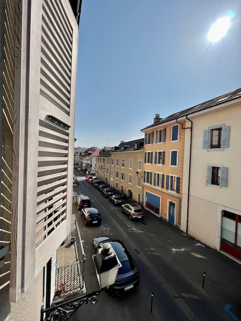 1 bedroom apartment situated in Carouge