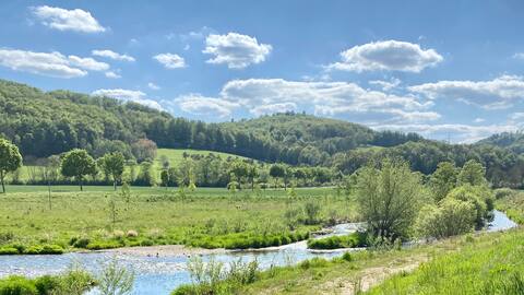 Holiday home Auenblick  -exclusive view of the countryside-