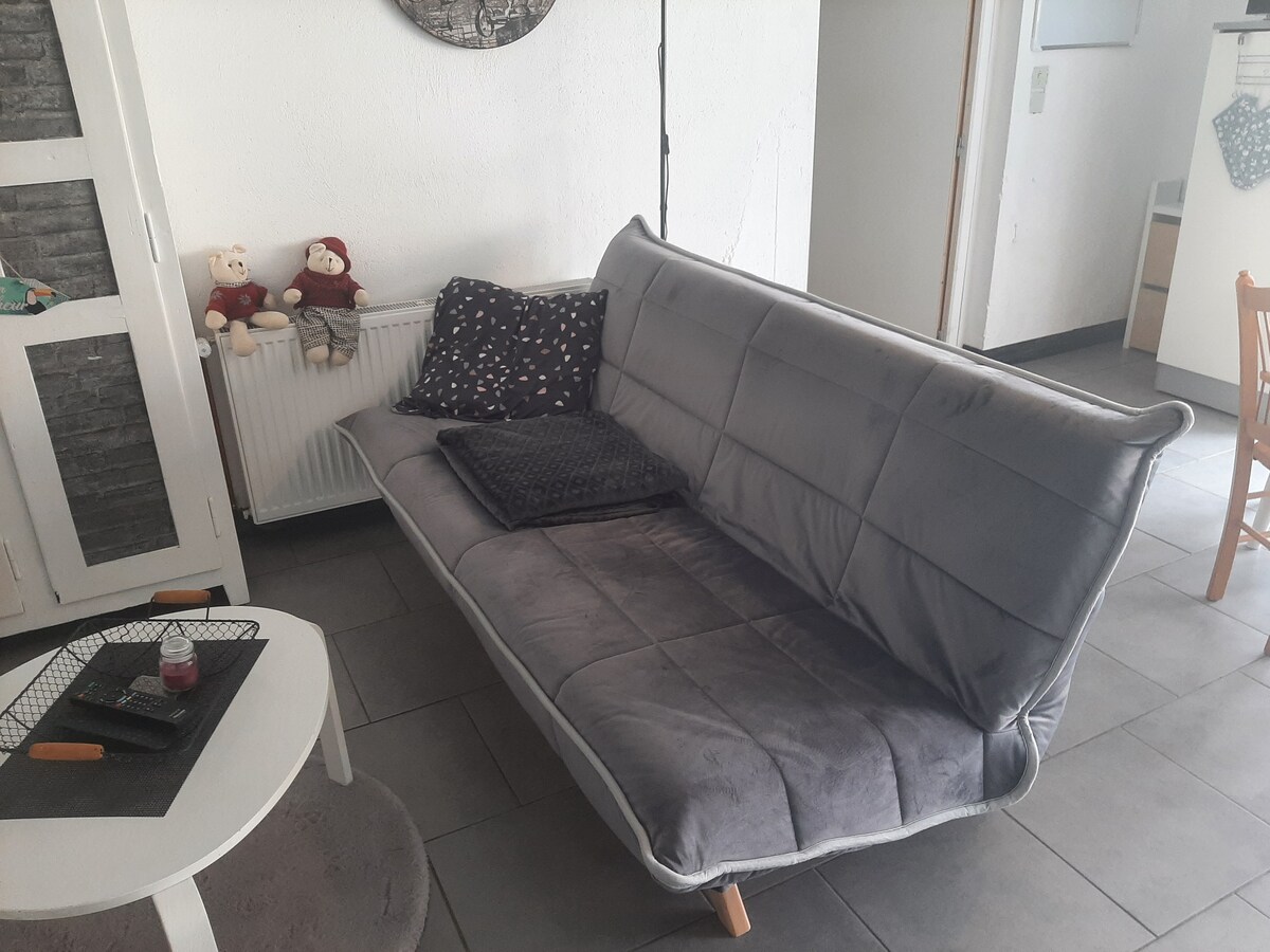 Successful Airbnb property: Studio 45 m² 2/3 people on one level and garden in Luxeuil Les Bains