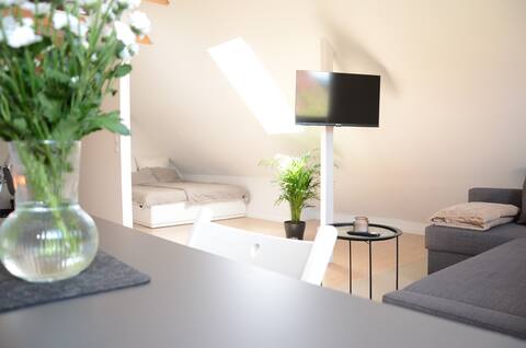 Centrally located apartment to feel good
