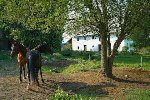 Top performing Airbnb: Give your mind what it desires. Peace and quiet.. in Ústecký