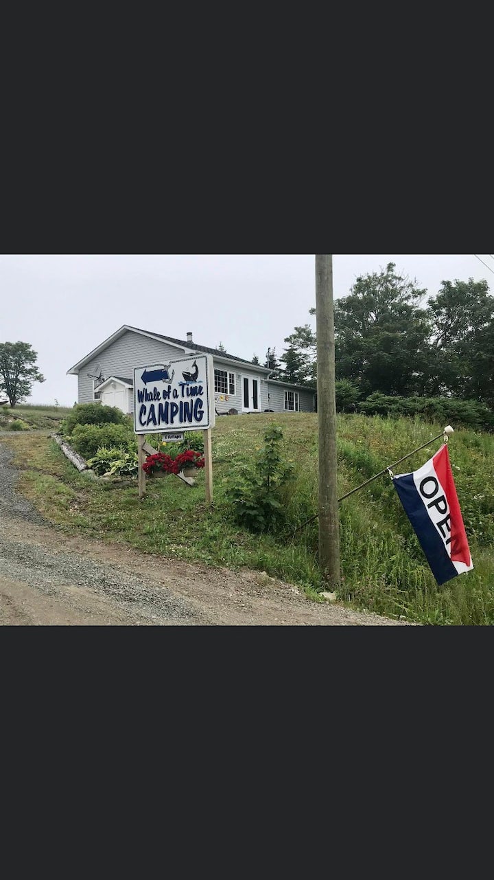 Brier Island Vacation Rentals & Homes Westport, Canada Airbnb