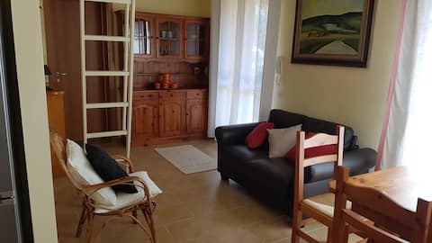 Proprietà Airbnb di successo: Villino Olivia - Olia Speciosa, King Coast a Castiadas