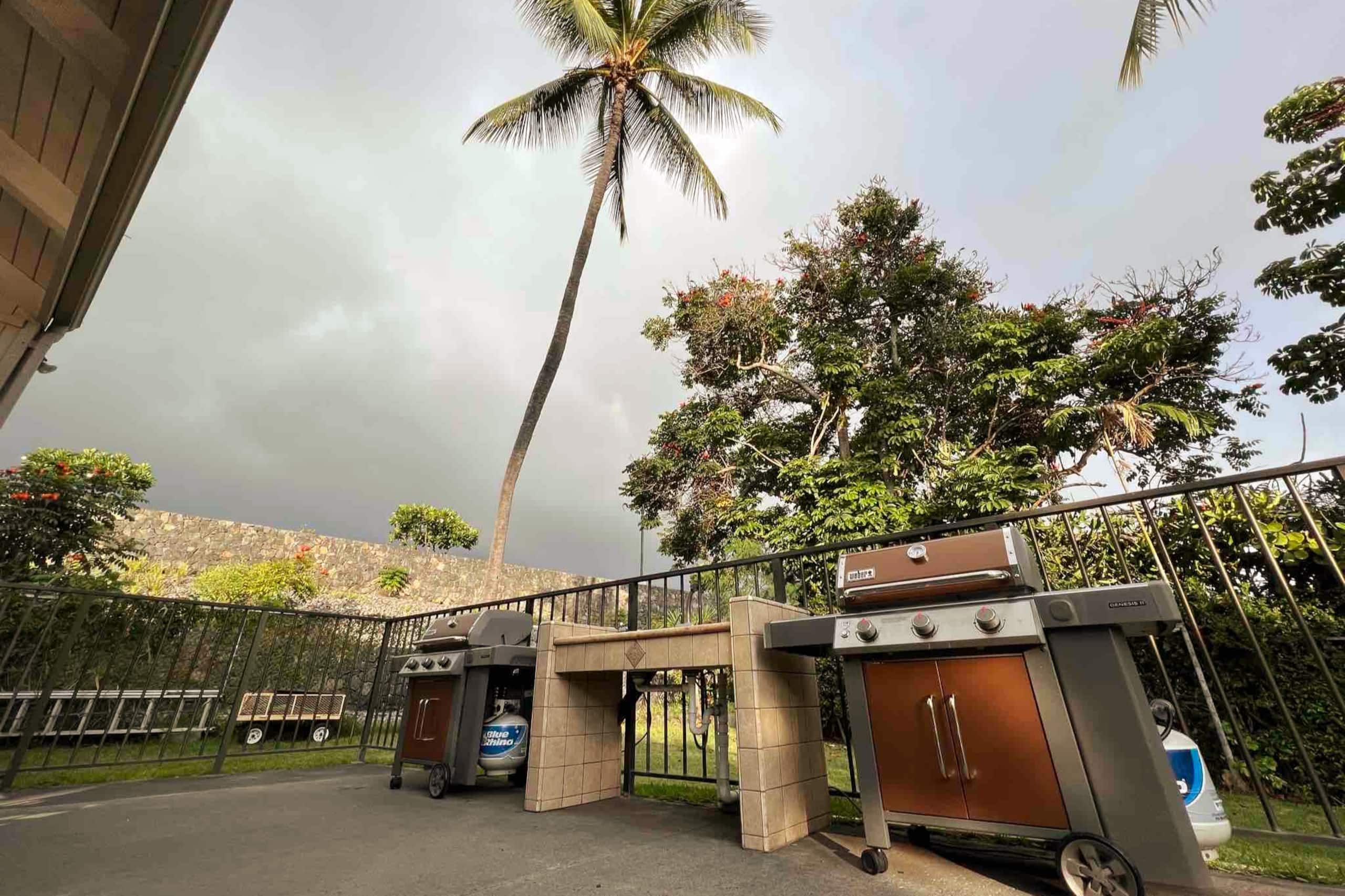 Condo in Kailua-Kona · ★4.99 · 1 bedroom · 2 beds · 1 private bath - Image 33